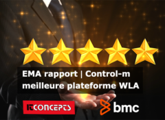Control-m ema report fr